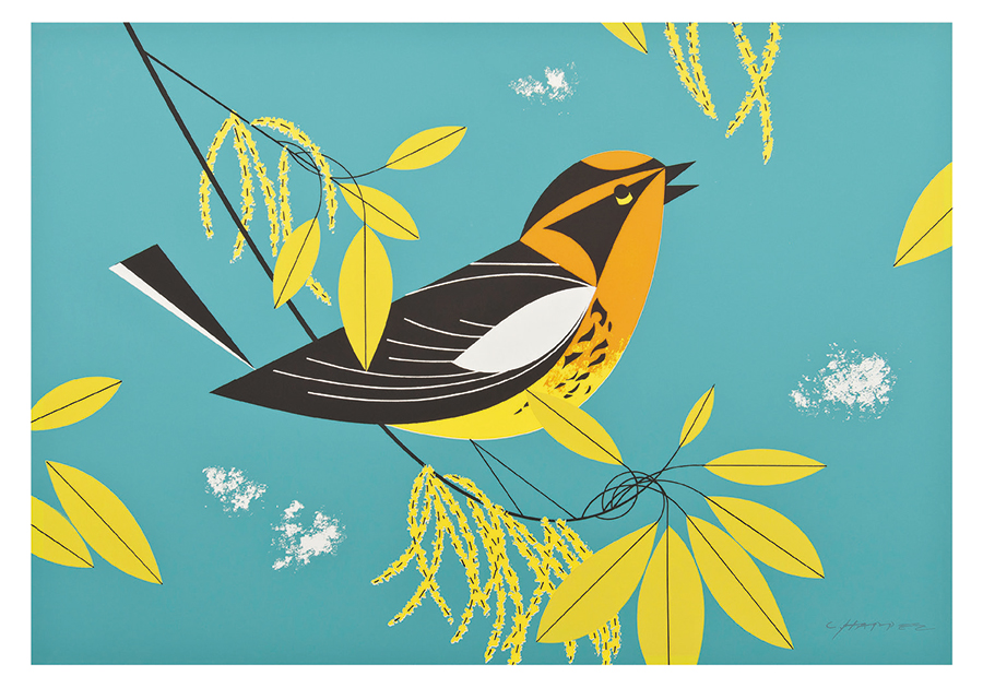 Harper - Blackburnian Warbler<br>Small Boxed Cards