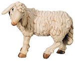 Standing Sheep<br>Dolfi Raffaello Nativity
