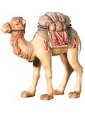 Camel<br> Dolfi Leonardo Nativity