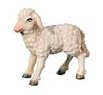 Lamb<br> Dolfi Leonardo Nativity