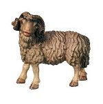 Standing Ram<br>Dolfi Rafaello Nativity