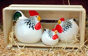 Light Sussex<br> New Zealand Happy Hens